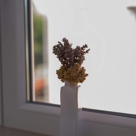 Apartman Zoe ヴルブニク エクステリア 写真